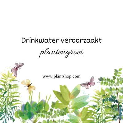 Planten