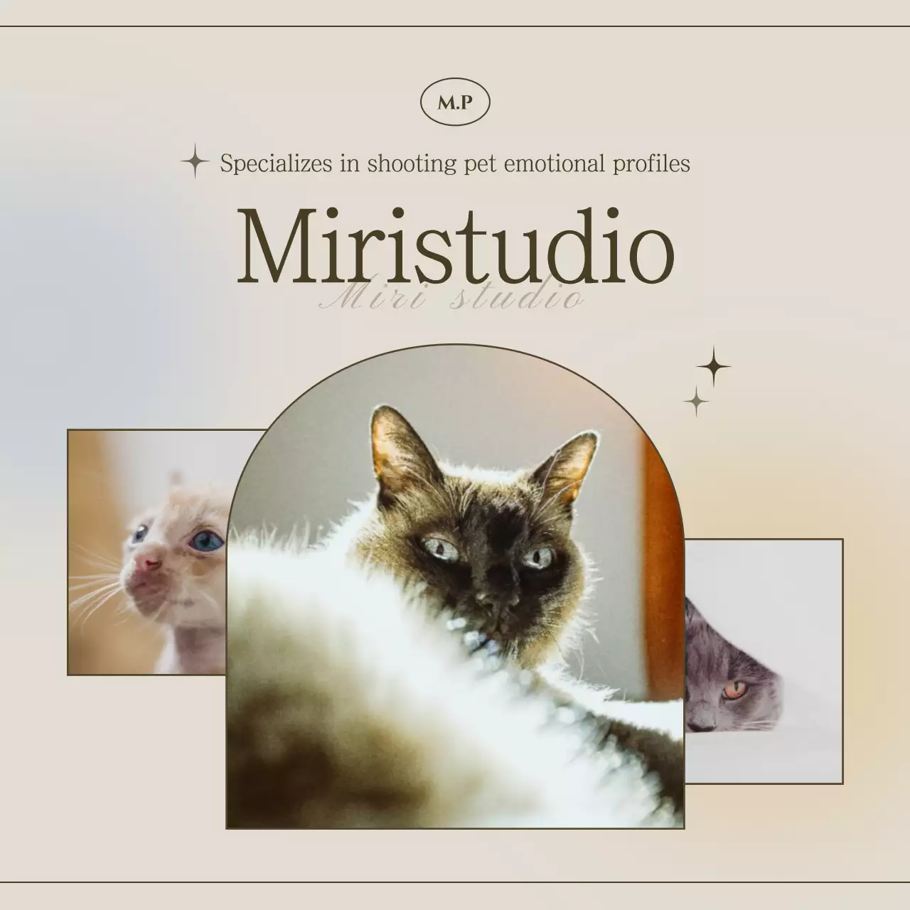 Banner de promoção de animais de estimação vintage bege