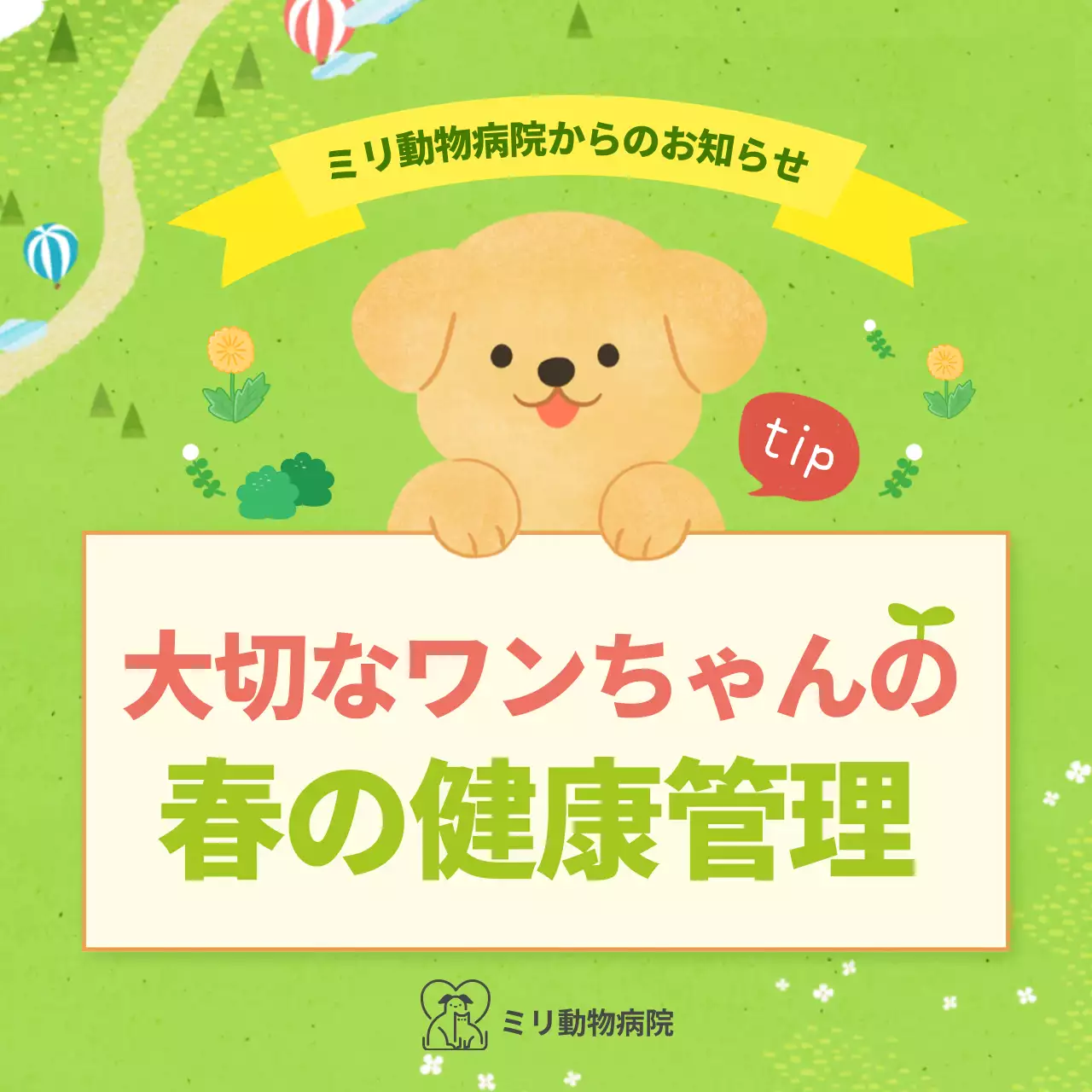 緑 かわいい ペット お知らせ Instagram カルーセル