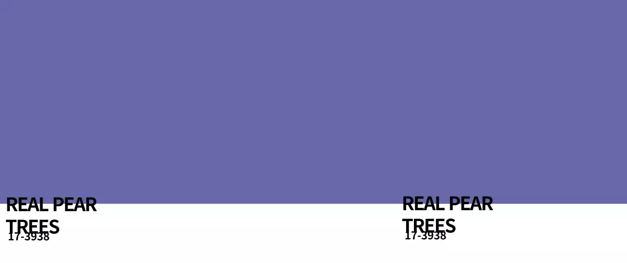 Simple pantone-colored merchandise mugs