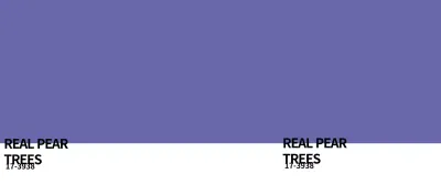 Simple pantone-colored merchandise mugs