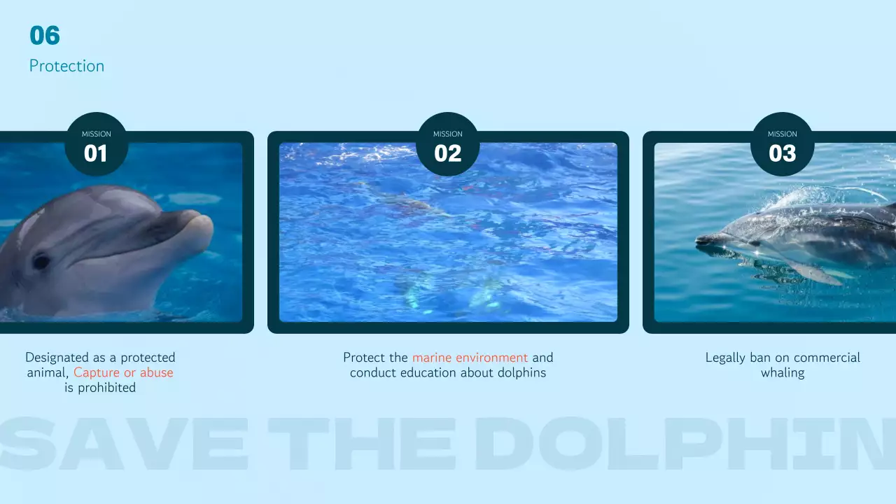 블루 모던 돌핀 가이드 프레젠테이션