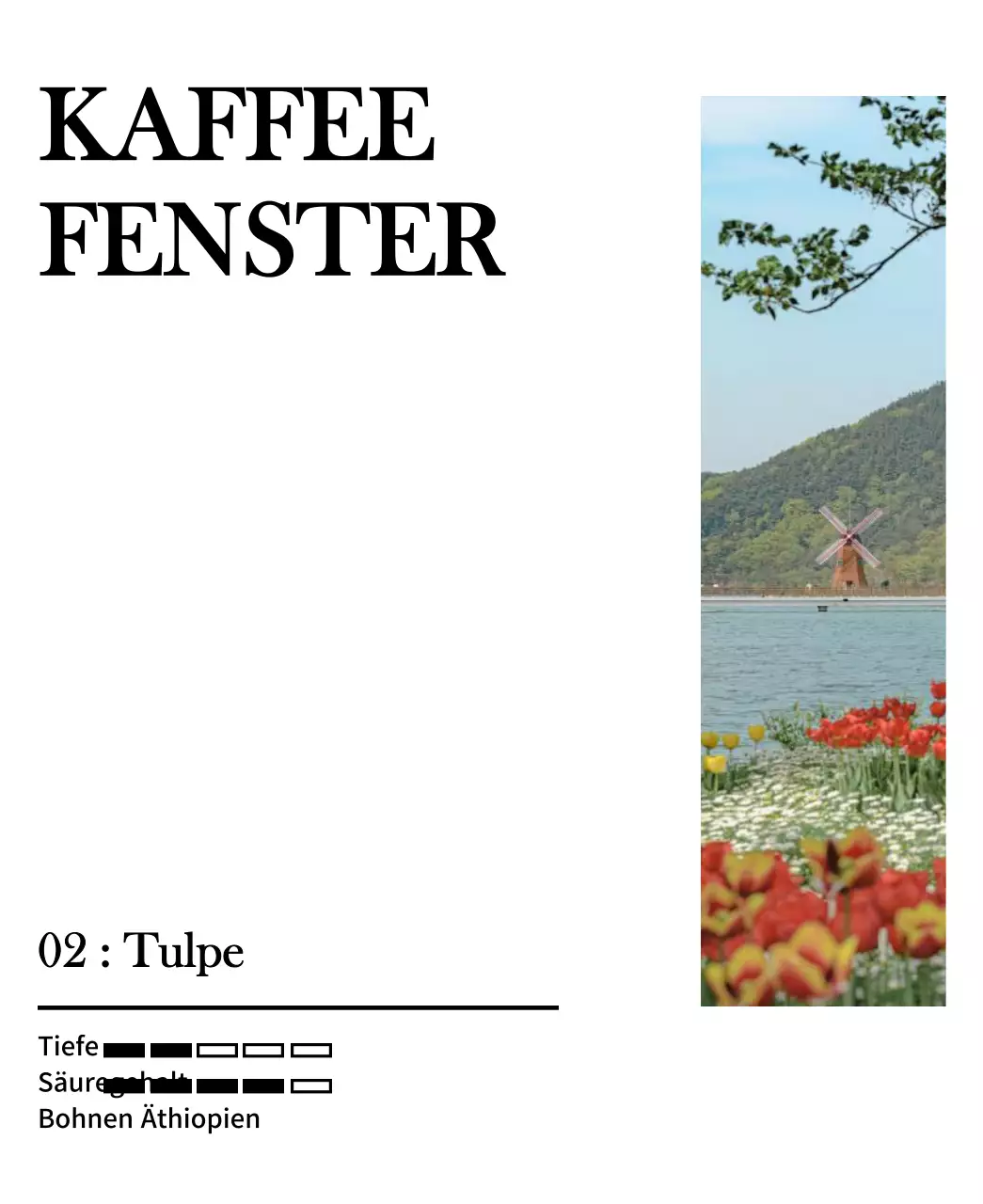 Ein einfaches Design mit einem schwarzen, alten Tulpen-Landschaftsfoto
