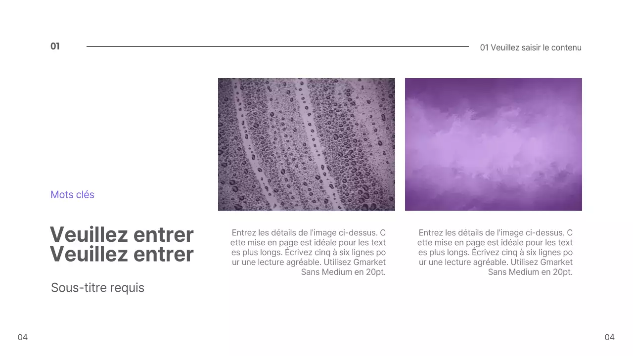 Présentation des myrtilles