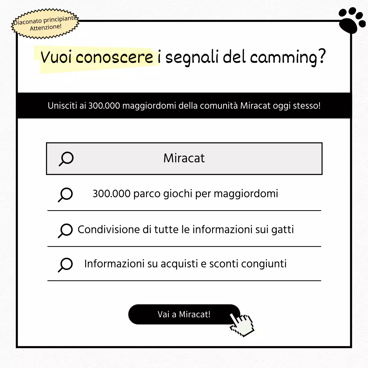 Prova un gatto bianco, piatto e carino