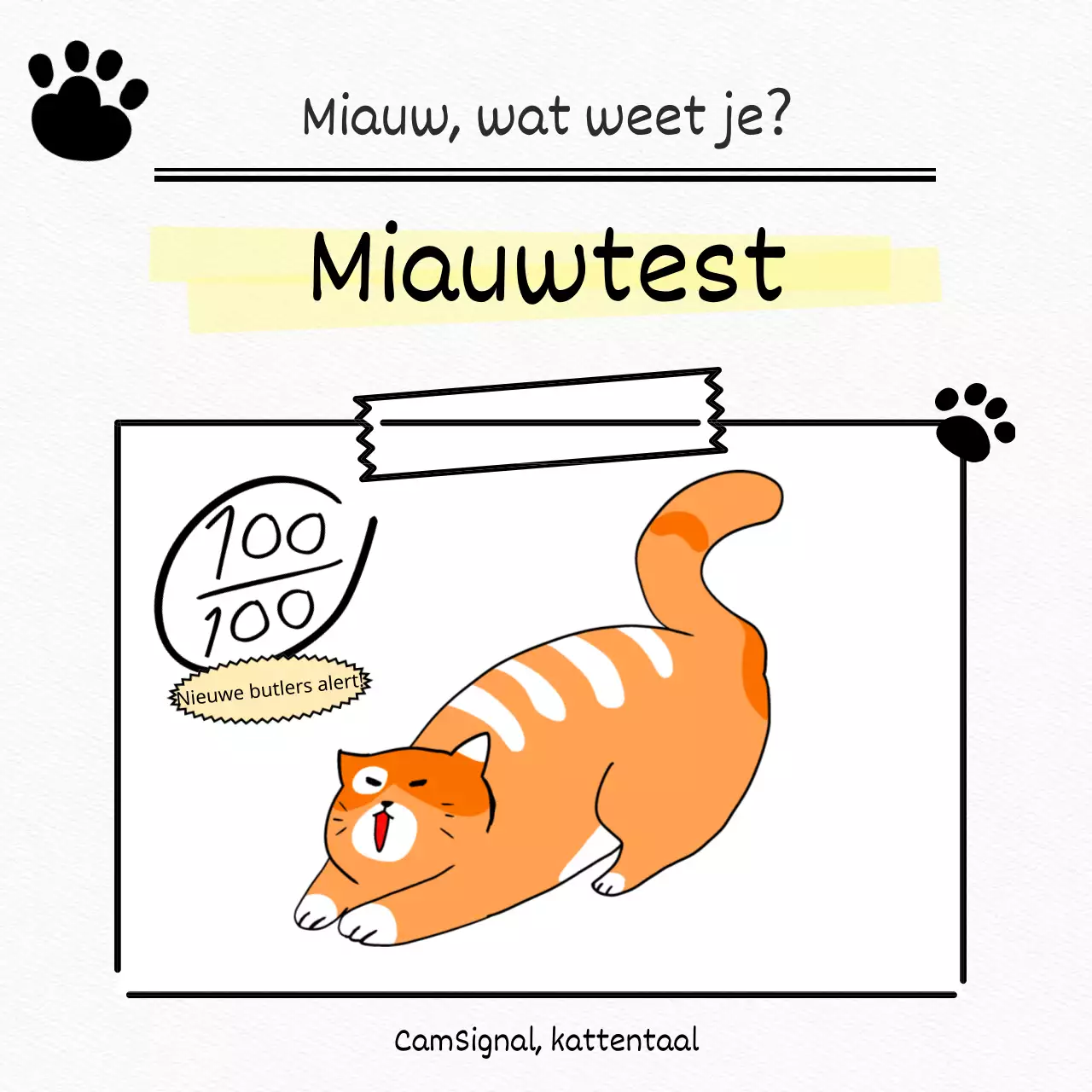 Test een witte, platte, schattige kat