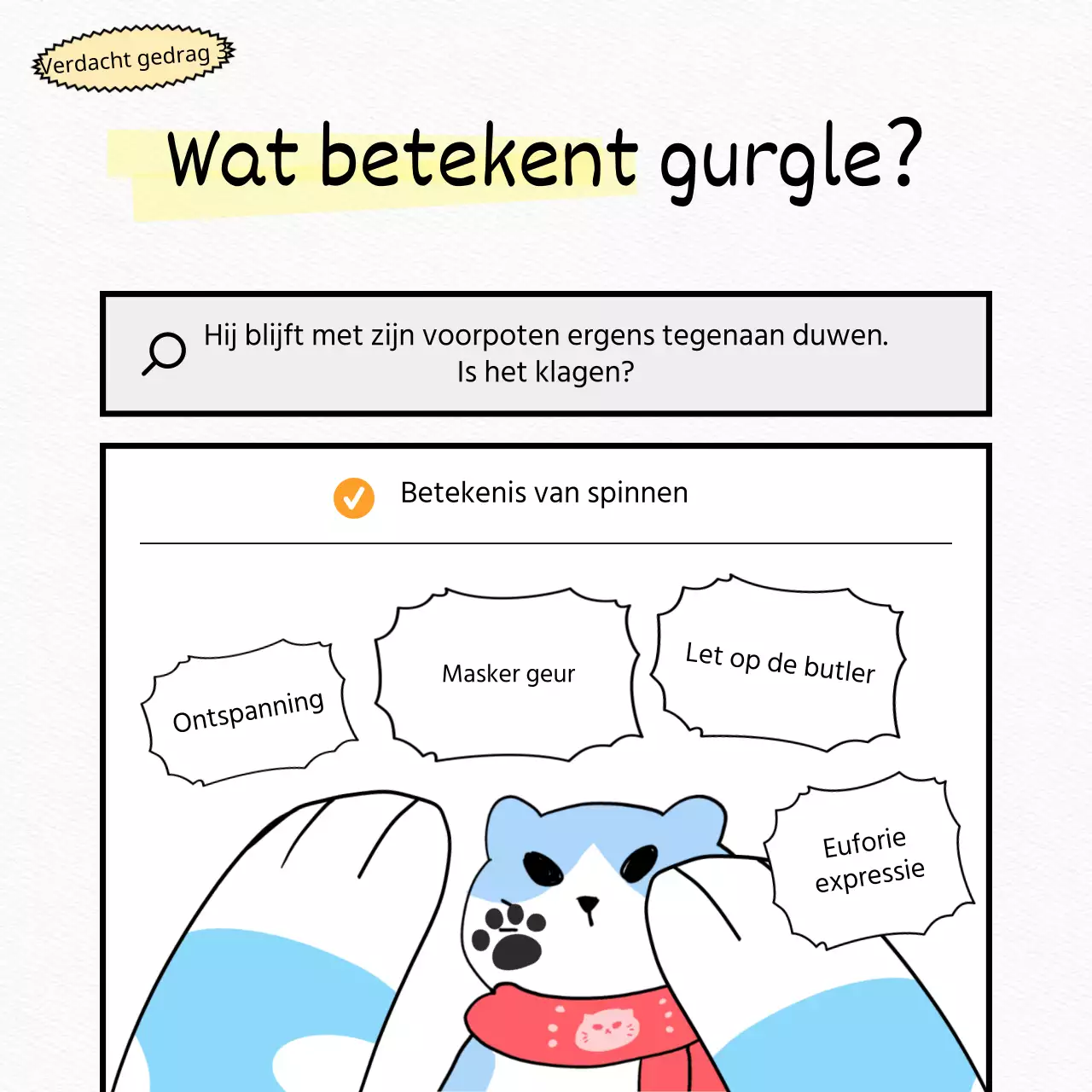 Test een witte, platte, schattige kat