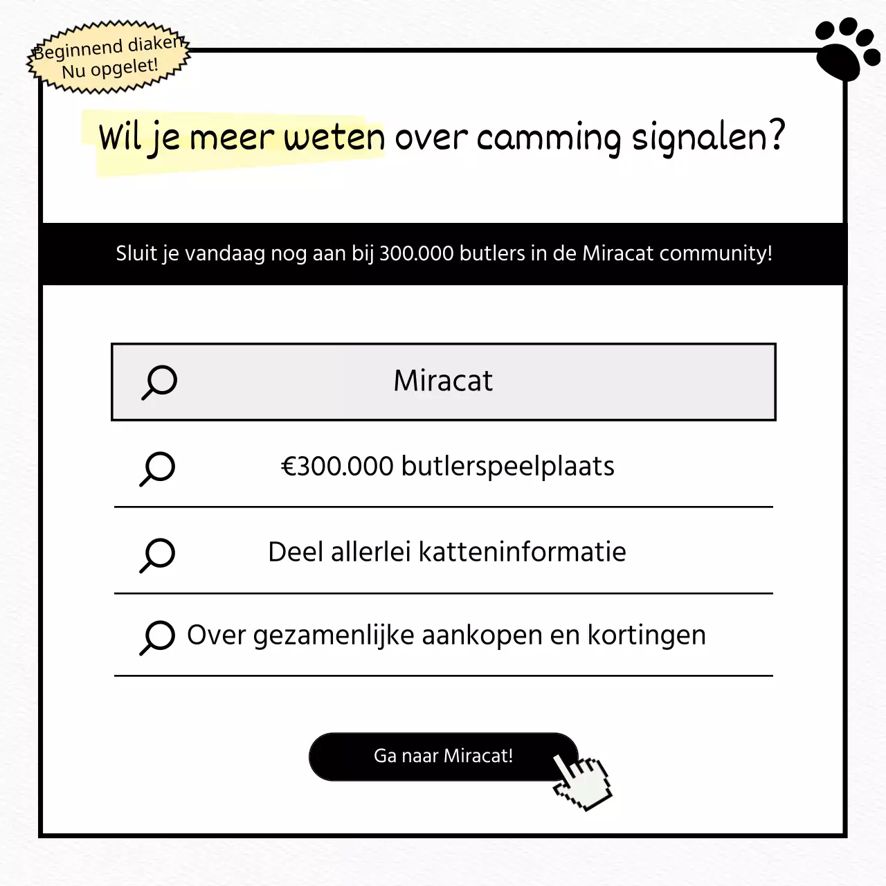 Test een witte, platte, schattige kat