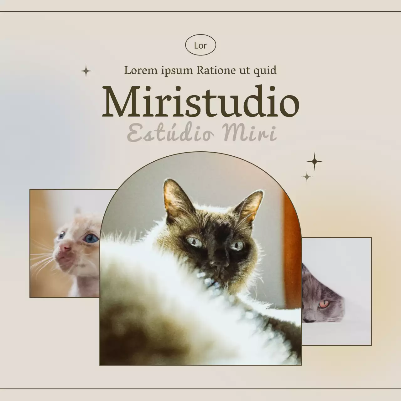 Promover um estúdio fotográfico de conceito castanho e emocional