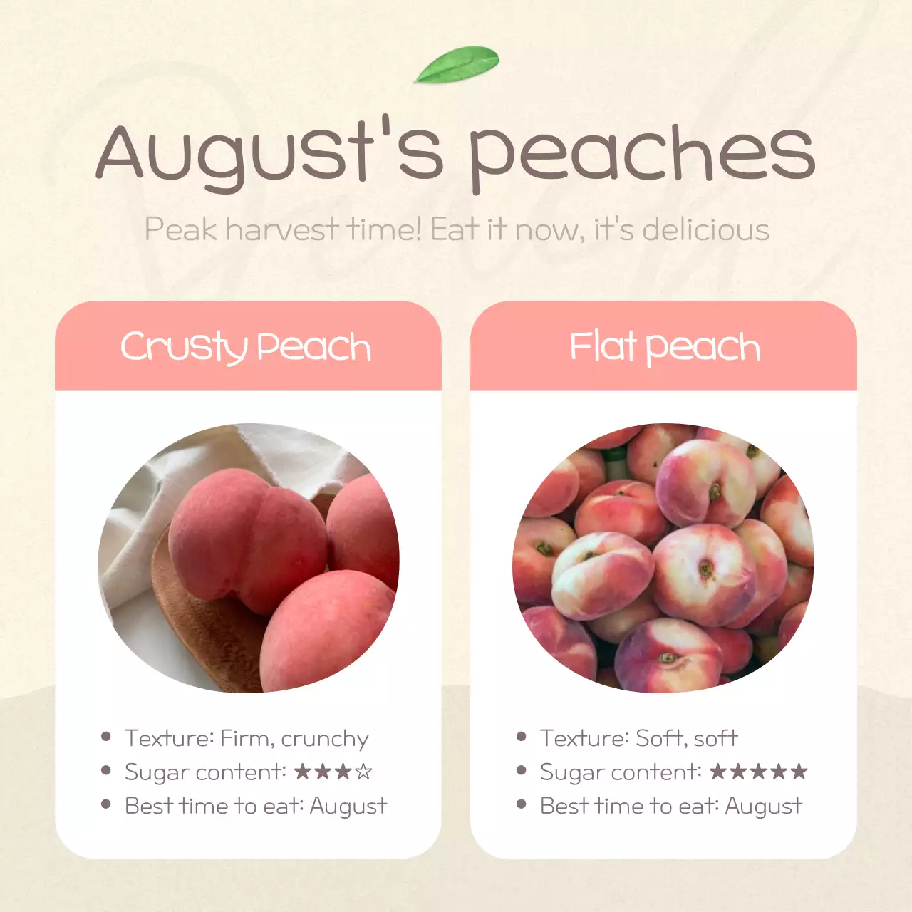 Pink Modern Peach Promotion Instagram Carousel