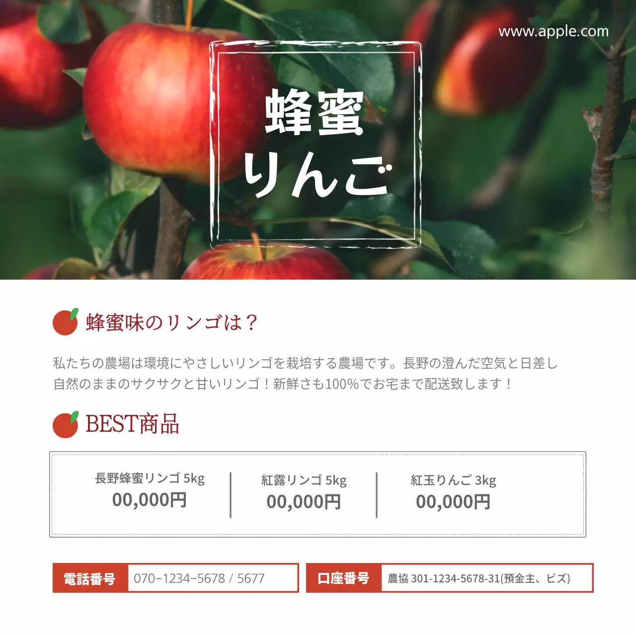 赤 シンプル フルーツ 広告 ウェブバナー