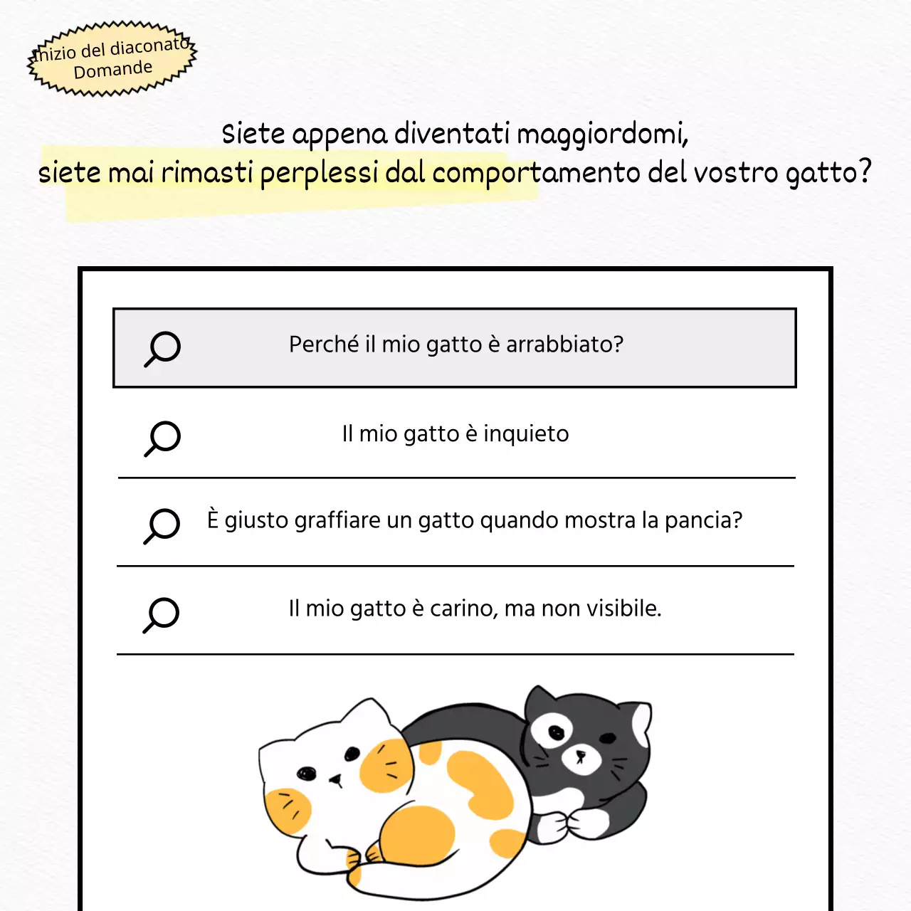 Prova un gatto bianco, piatto e carino