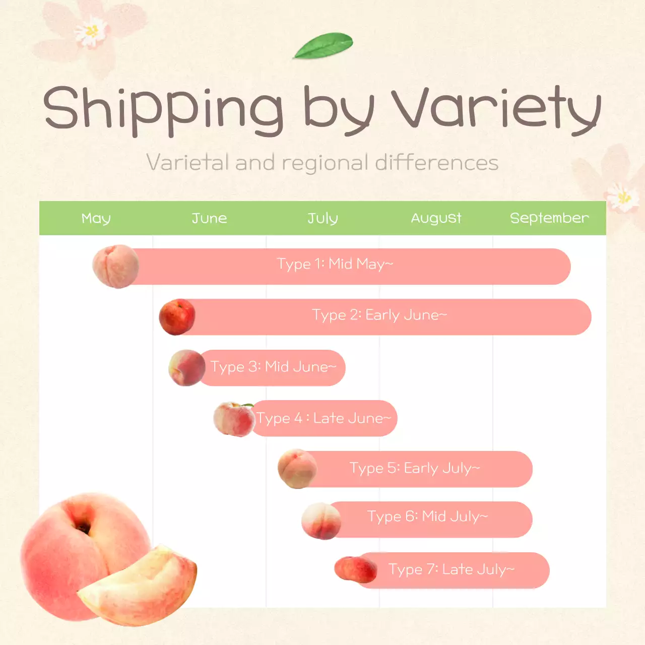 Pink Modern Peach Promotion Instagram Carousel