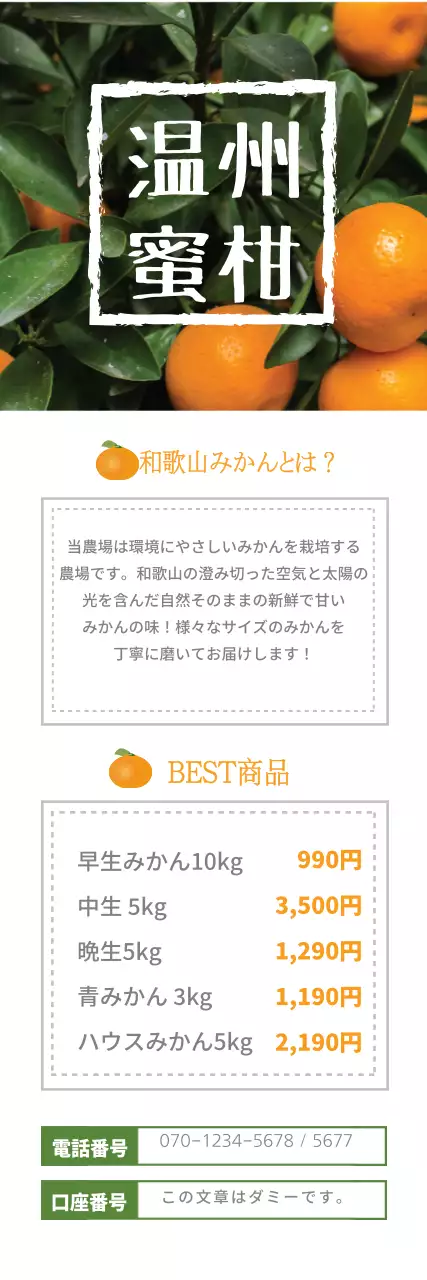 緑 シンプル みかん パンフレット ウェブバナー