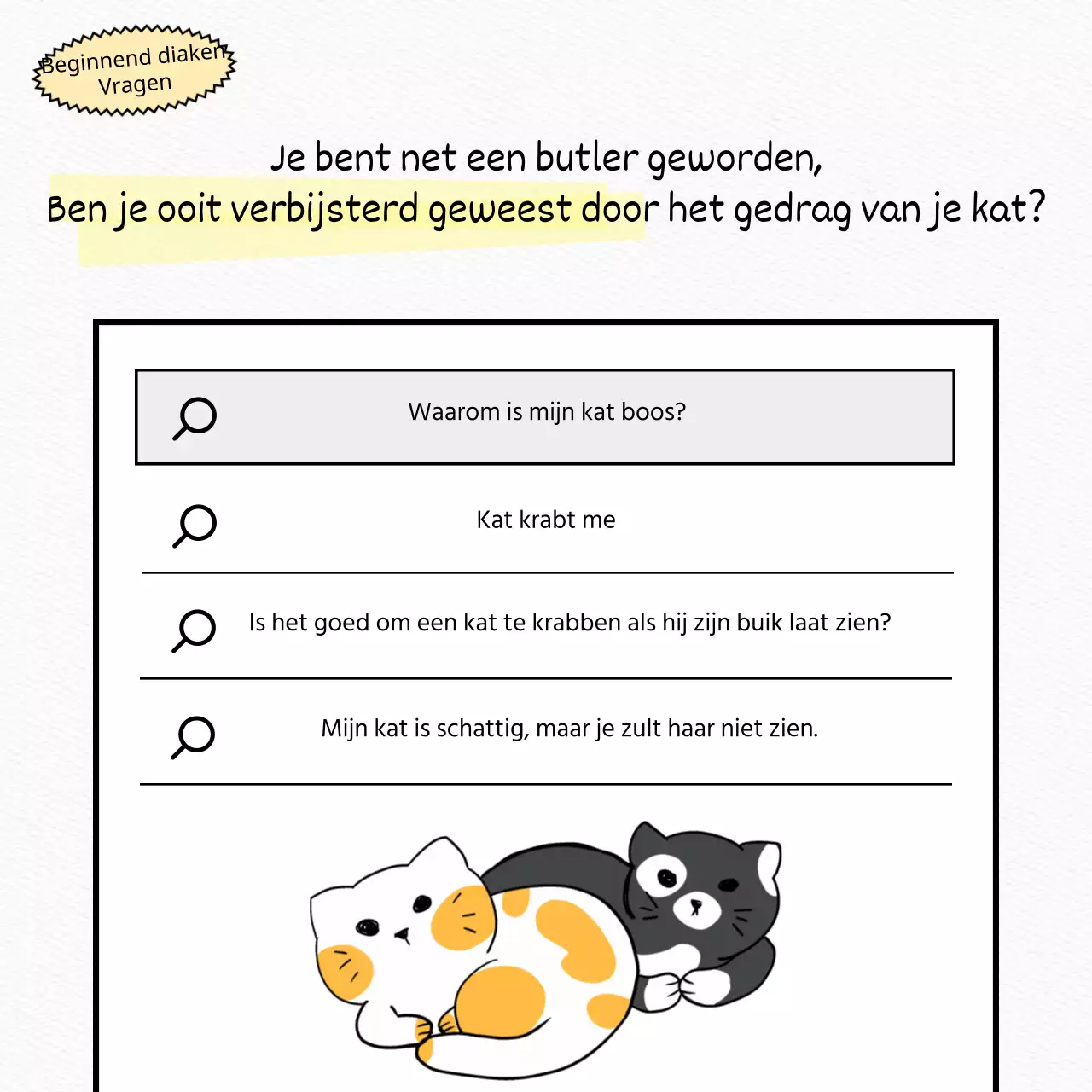 Test een witte, platte, schattige kat