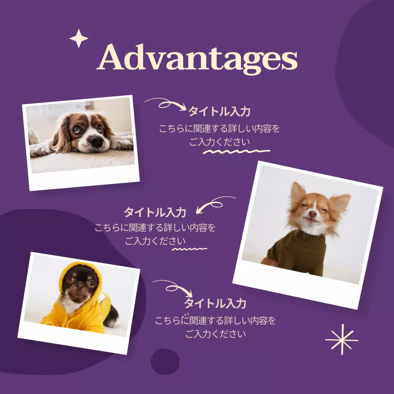 カラフル かわいい ペット パンフレット Instagram カルーセル