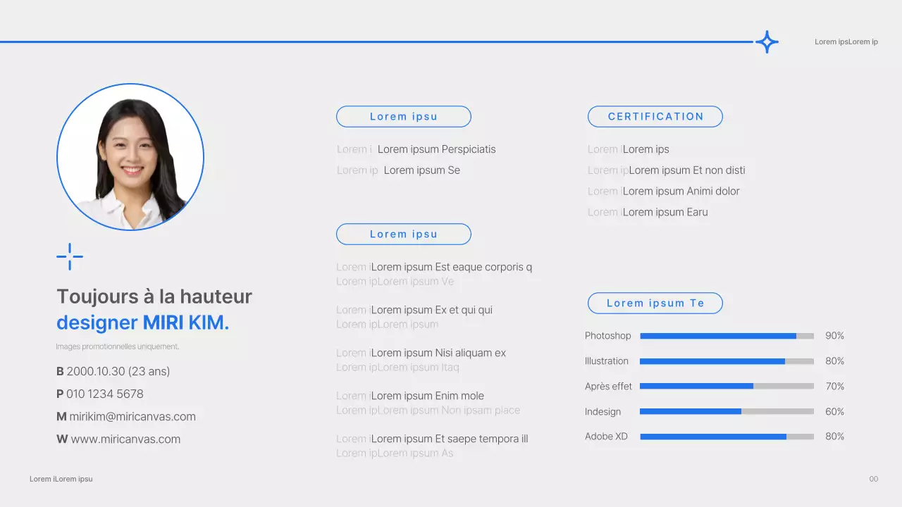 Portefeuille de design avec un concept simple en bleu et blanc