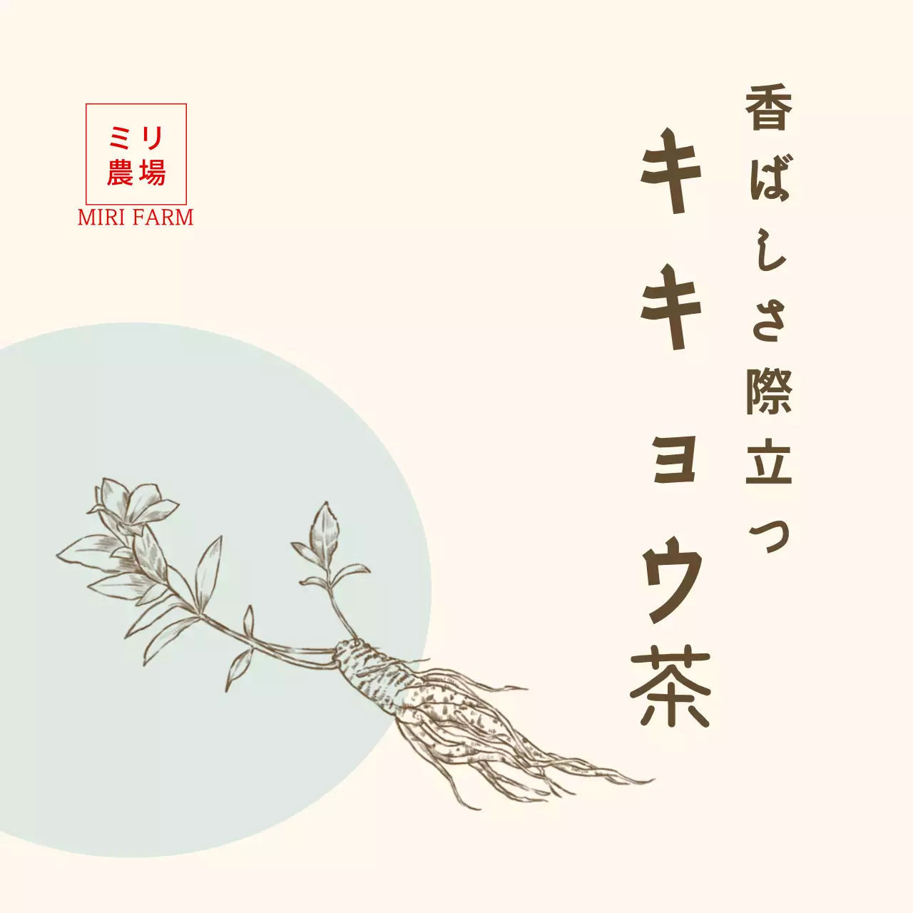 ミント色ドローイング桔梗茶ステッカー