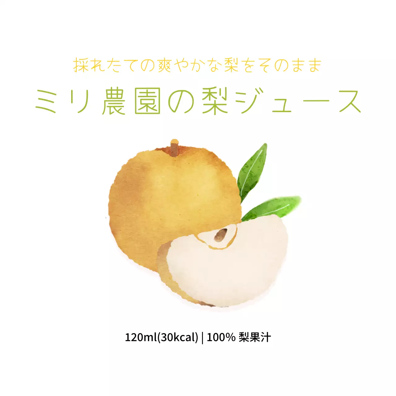 黄色い水彩画のような感覚の梨の実ステッカー