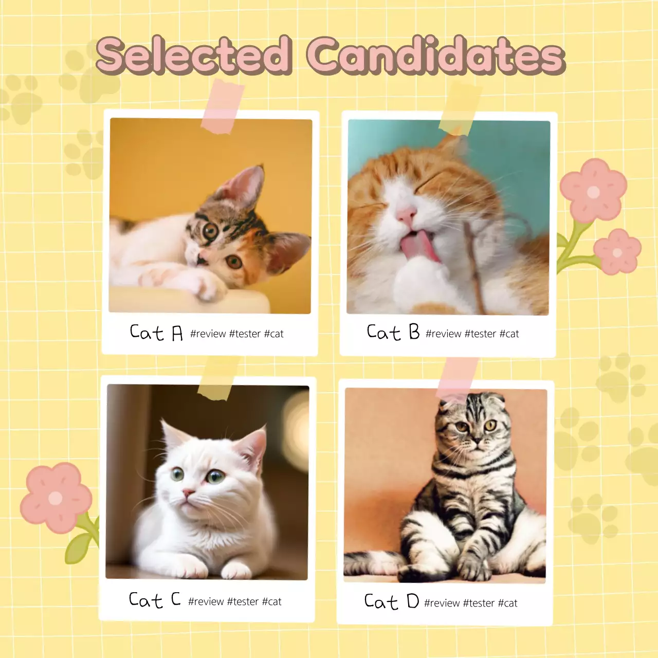 Promote your event to recruit supporters for Yellow the Cat