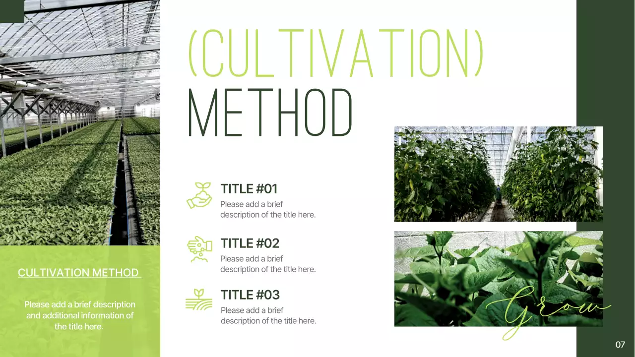 그린 러스틱 티 프로모션 프레젠테이션