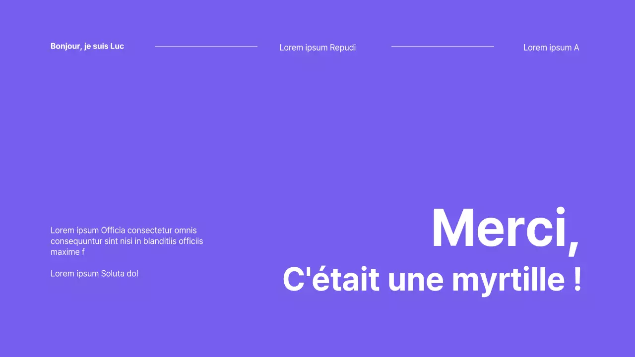 Présentation des myrtilles