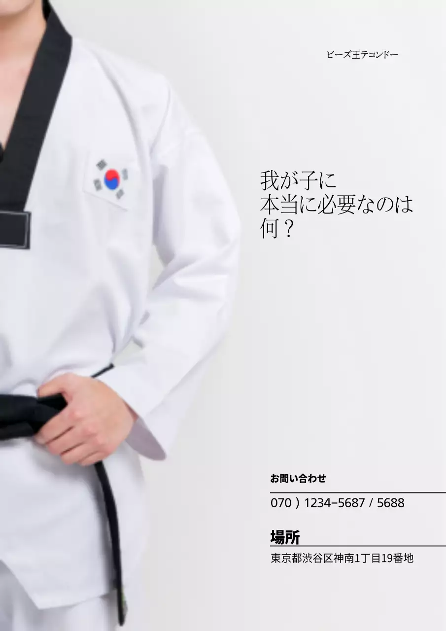 ビーズ王テコンドー