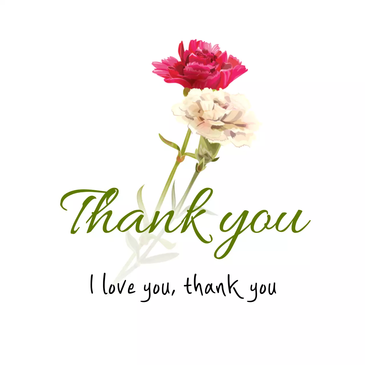 Cảm ơn thư pháp với hoa cẩm chướng đỏ và trắng 