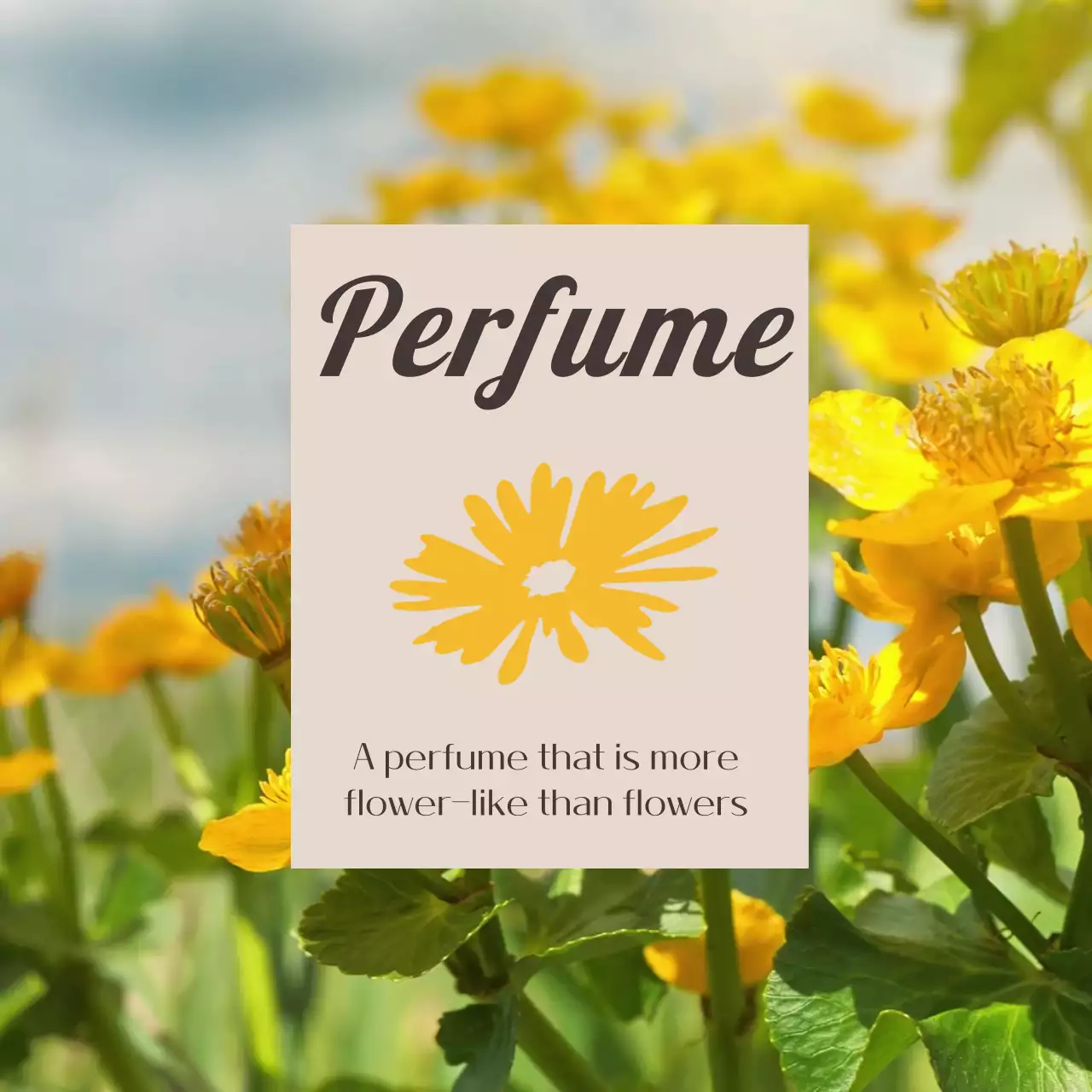 노랑색의 자연의 꽃향기 향수 홍보