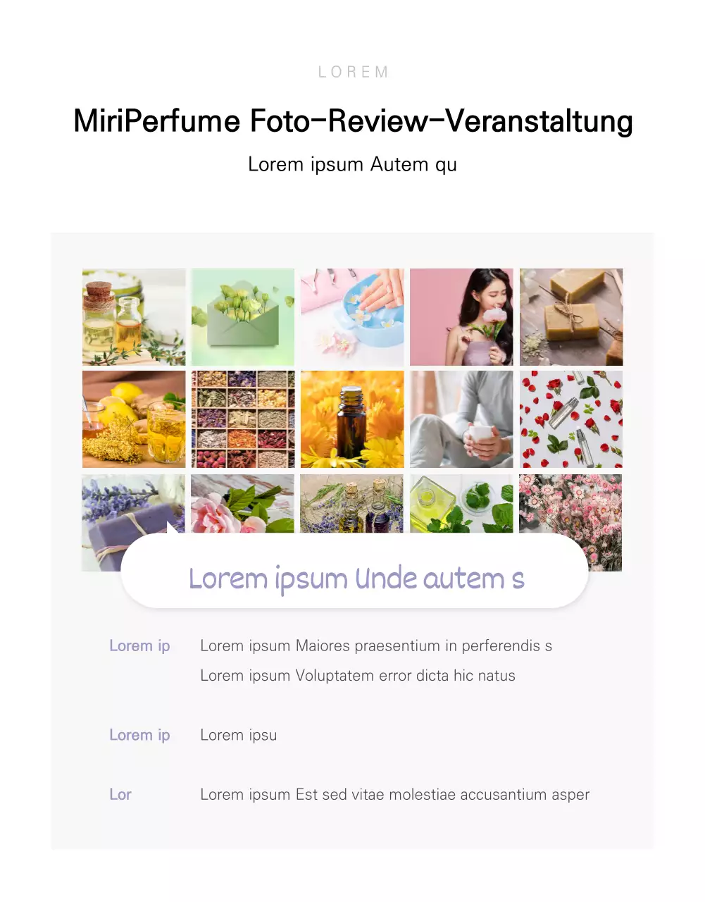 Faserkonstanten Detailseite