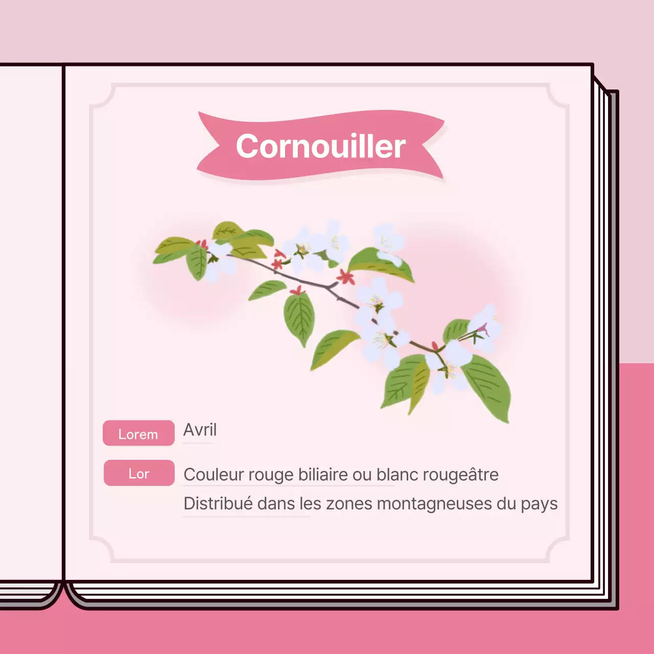 Concept de livre informatif sur les cerisiers en fleurs dans des couleurs pastel