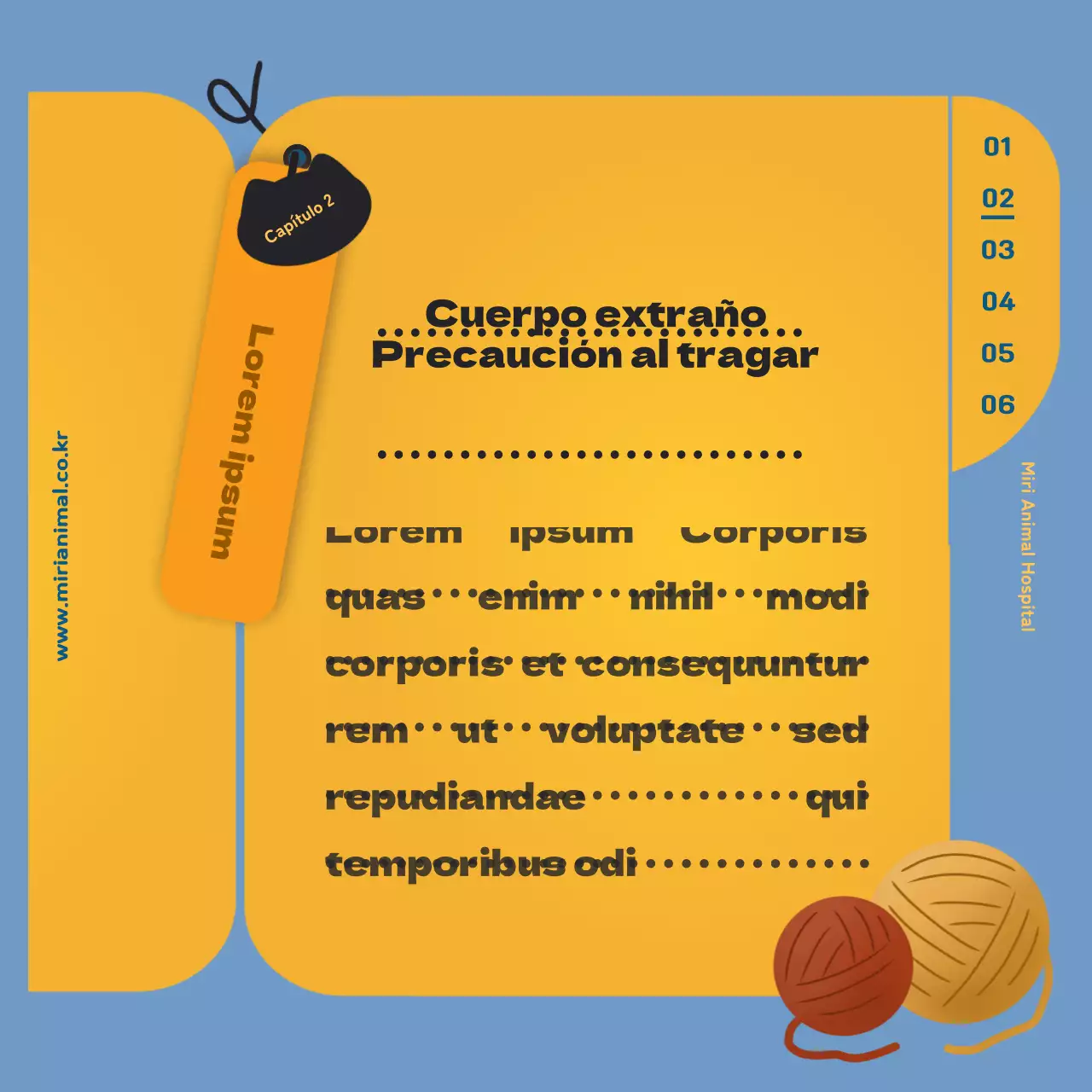 La información sanitaria de su gato, resaltada en la hoja amarilla de registro sanitario.