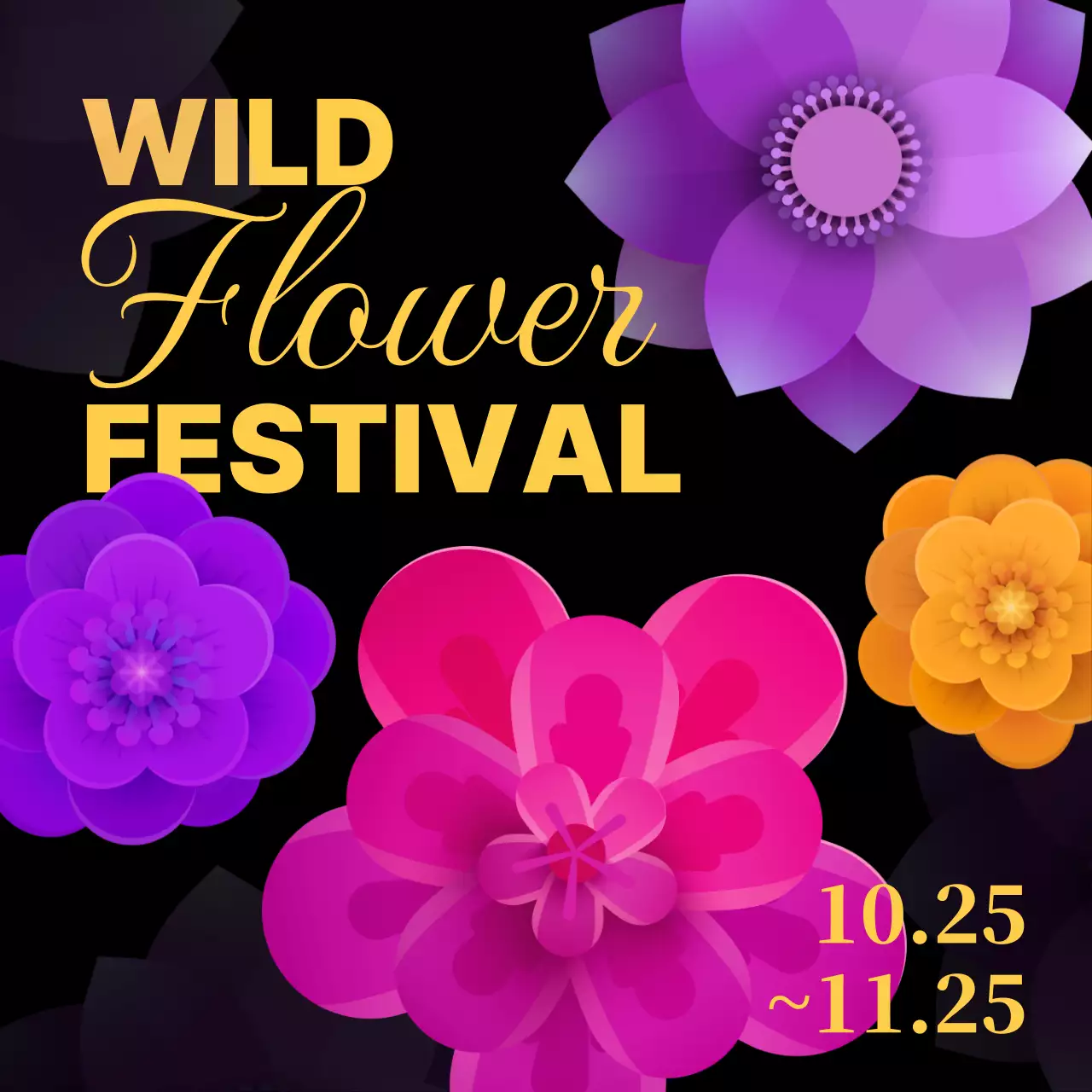 A festival of yellow and purple