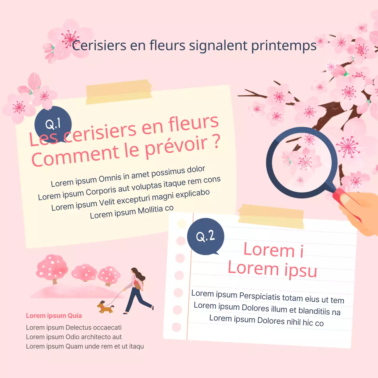 Illustration des taches et des périodes de floraison des cerisiers en rose