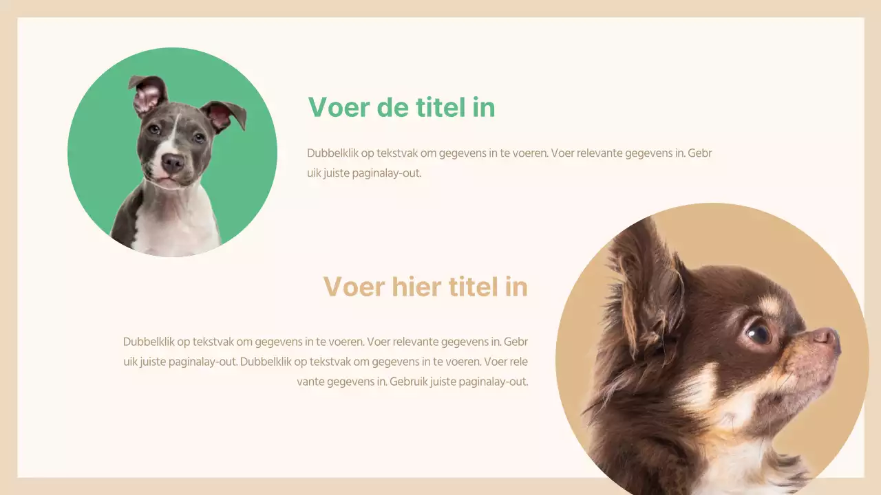 Presentatie huisdier