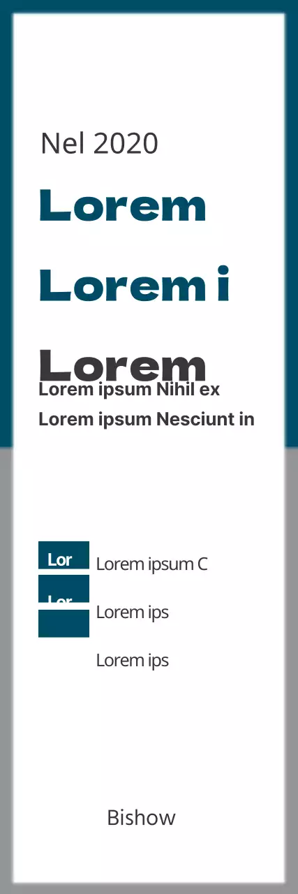 Convenzione_Striscione ritratto