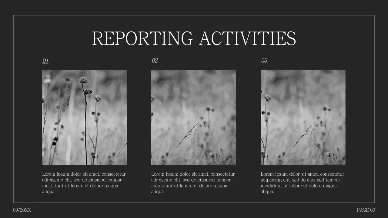 Simple photo collage proposal in humpback