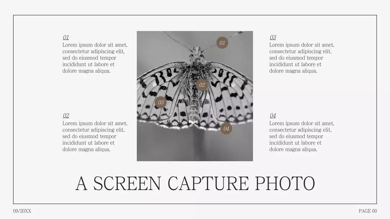 Simple photo collage proposal in humpback