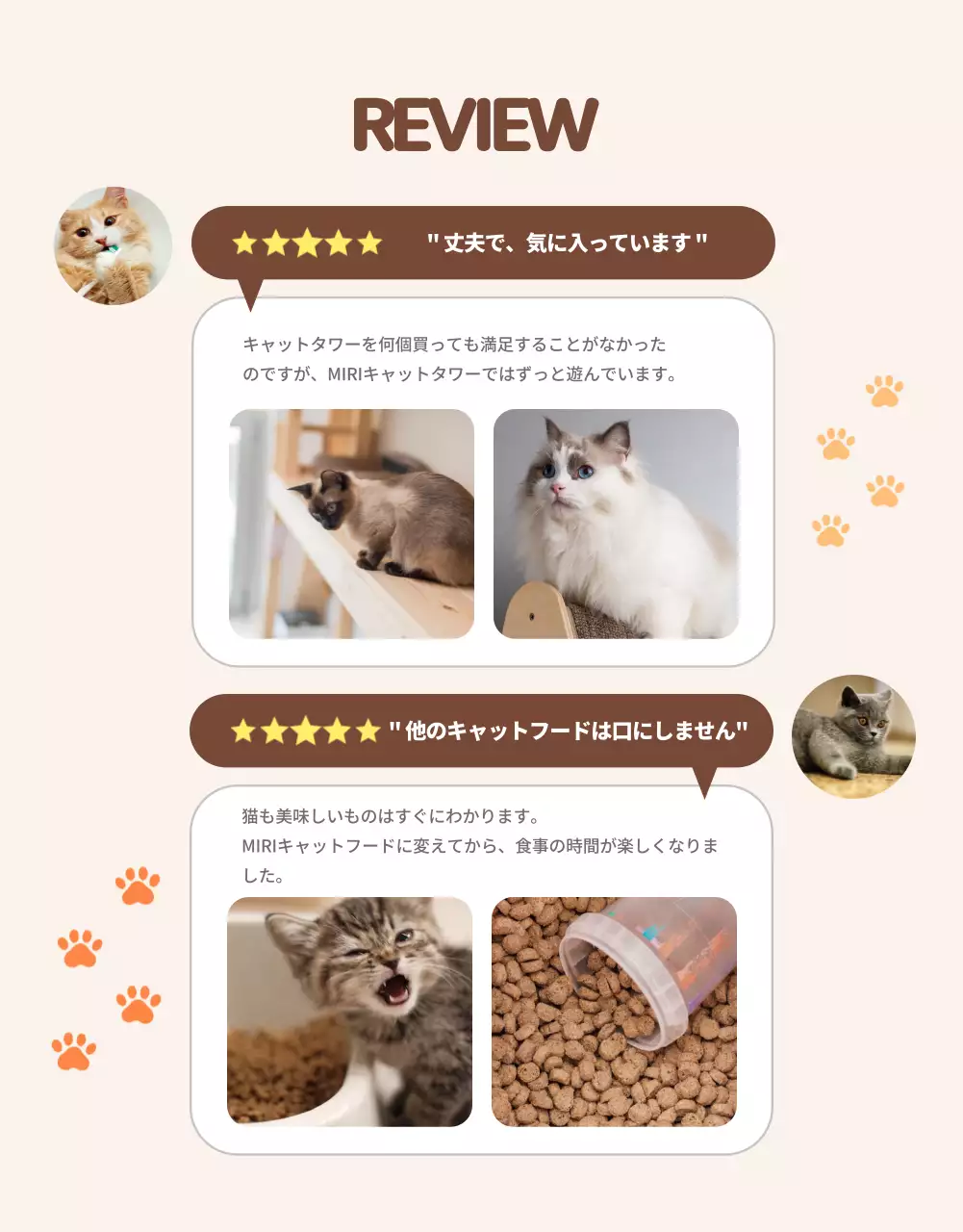 オレンジ ポップ 猫 キャンペーン 詳細ページ