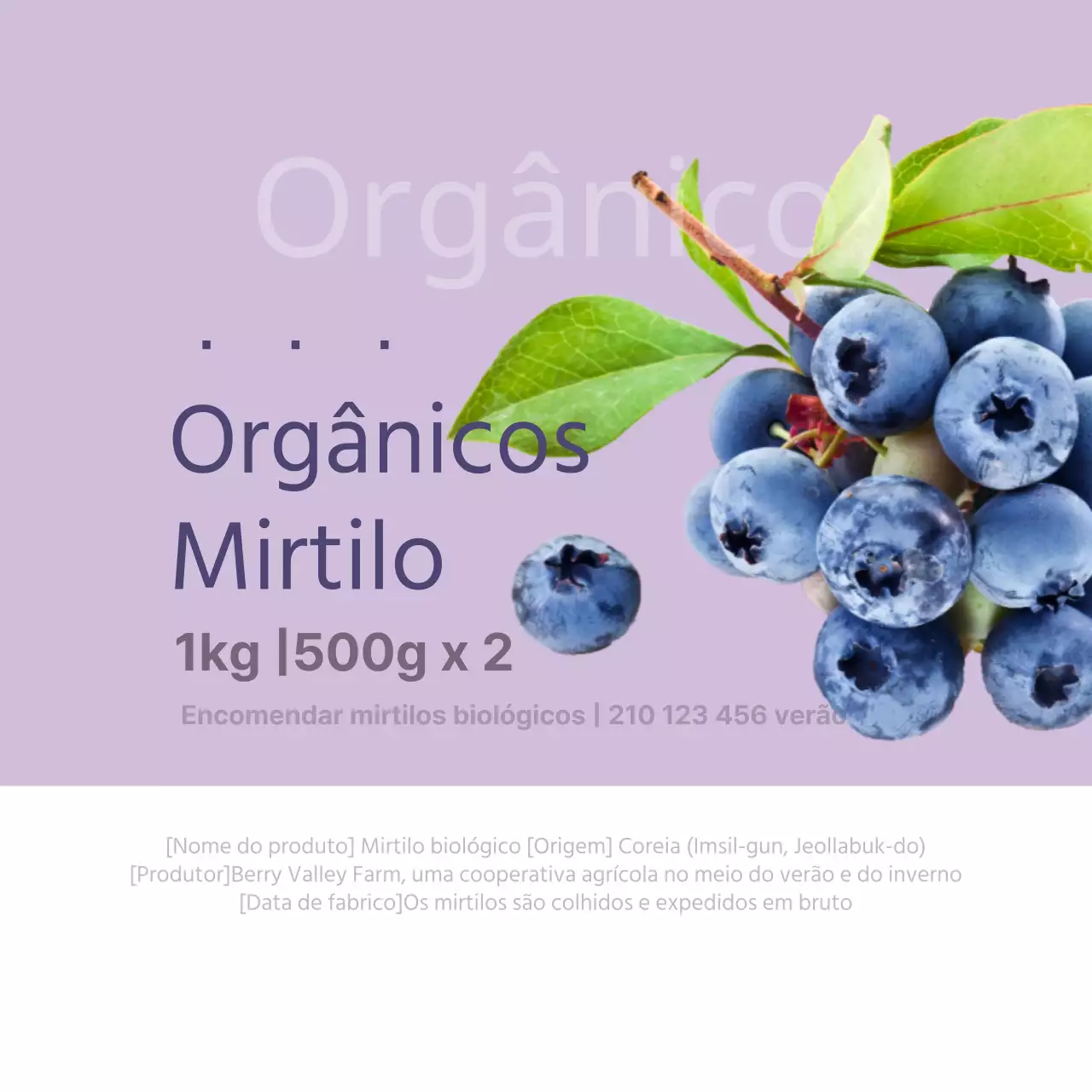 Mirtilos biológicos