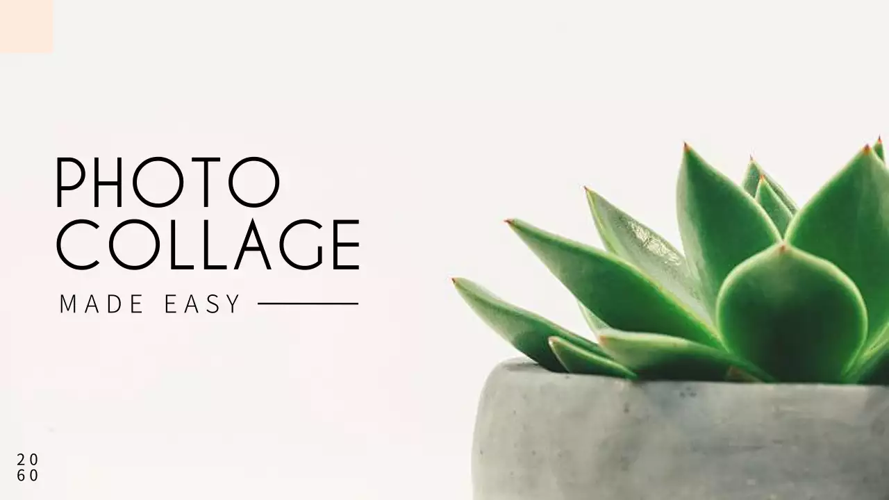 화이트 미니멀 포토 가이드 프레젠테이션