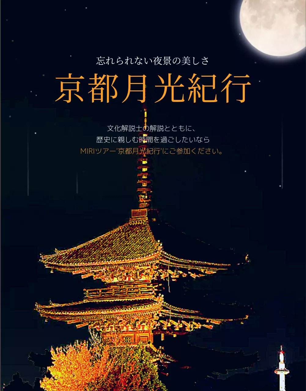 黒 上品 旅行 パンフレット 詳細ページ