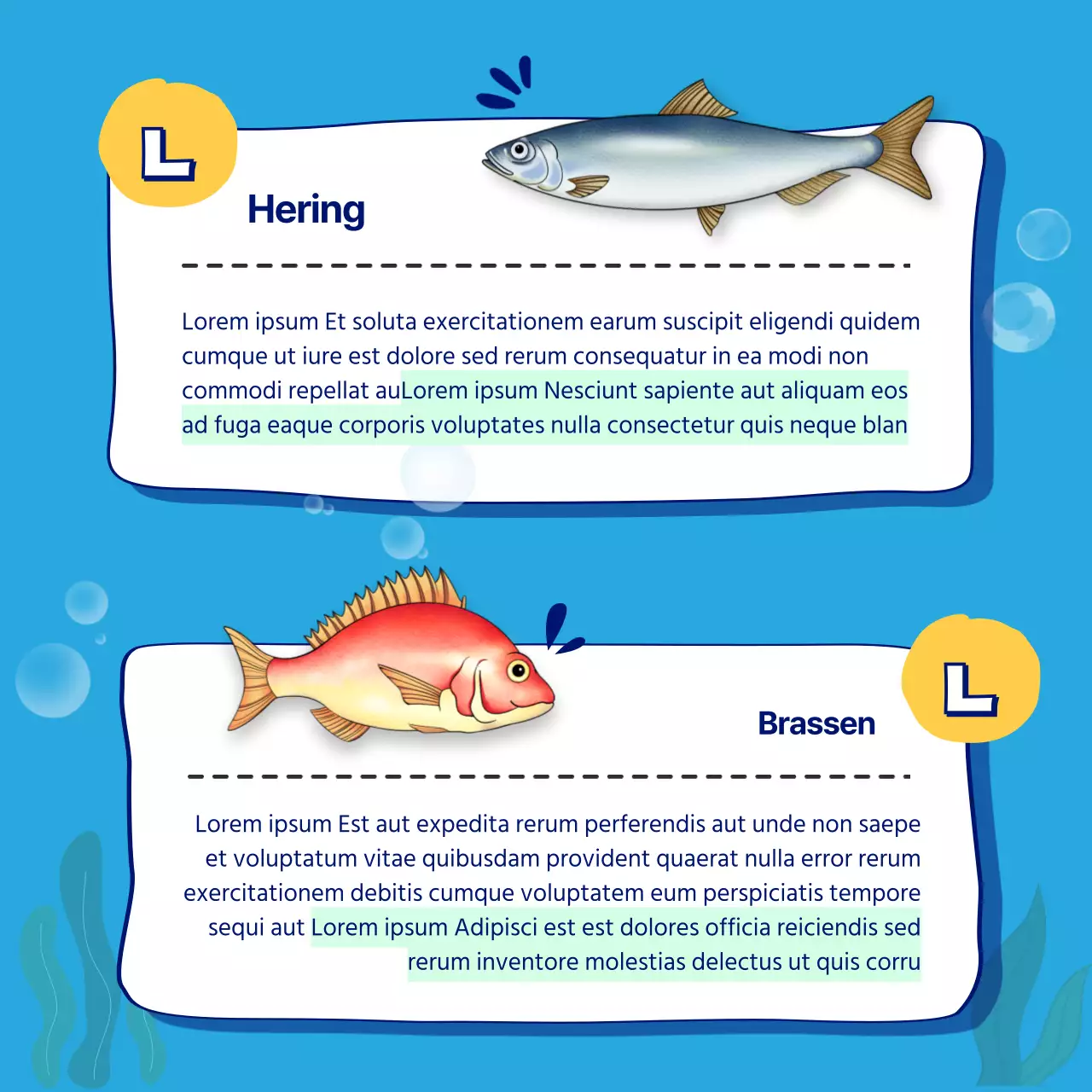 Ein monatlicher Leitfaden für Sashimi der Saison in blue CardNews