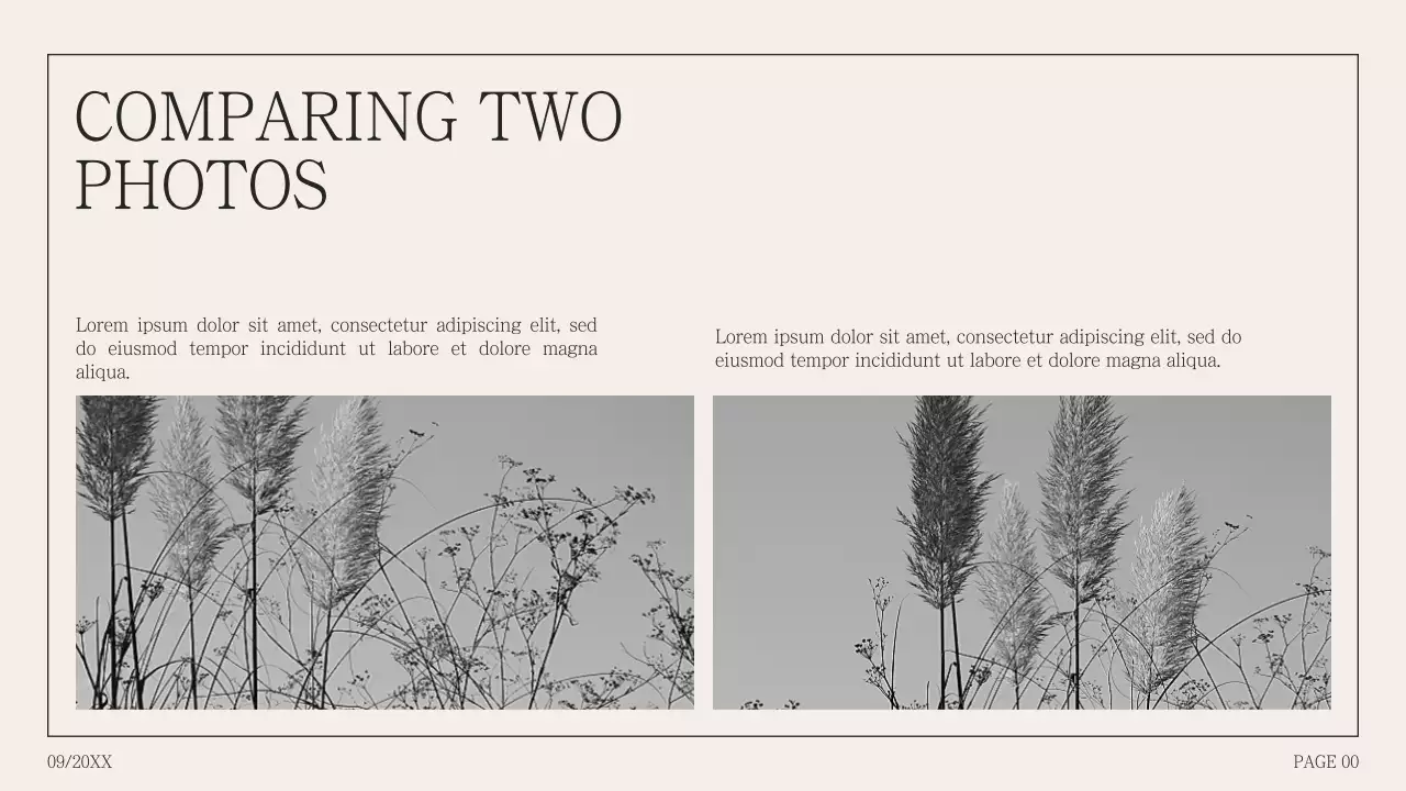 Simple photo collage proposal in humpback