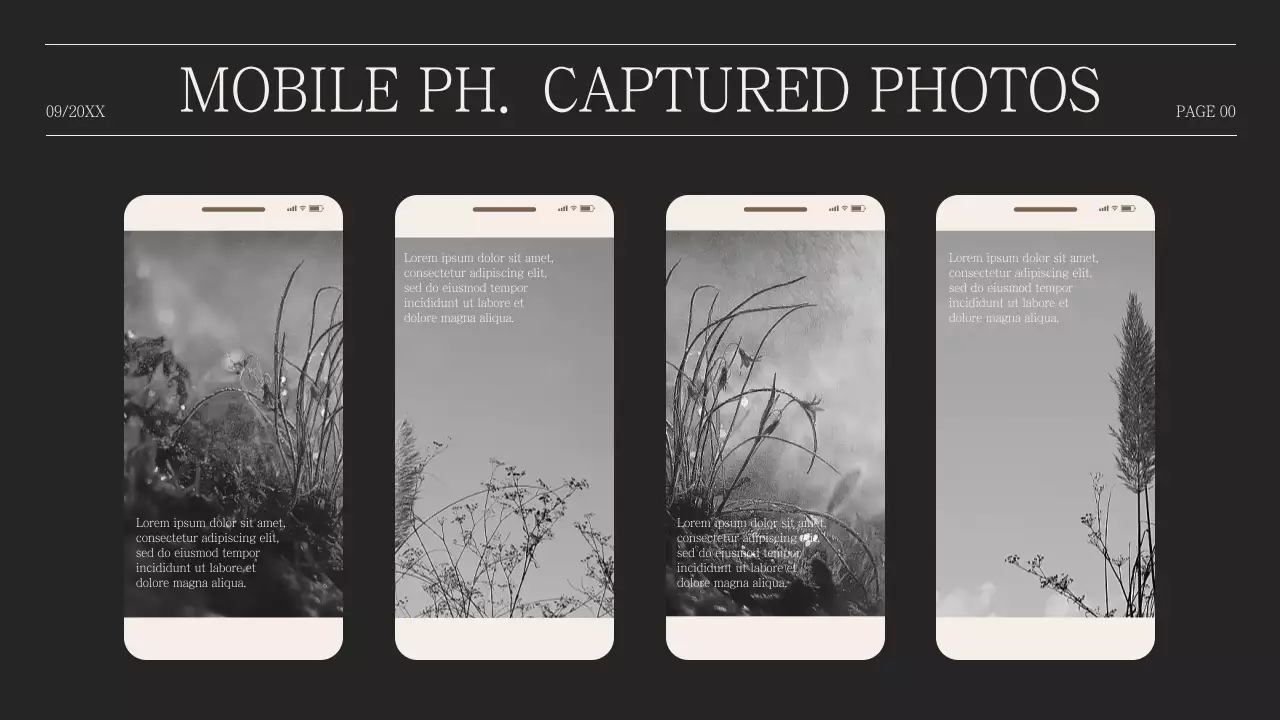 Simple photo collage proposal in humpback