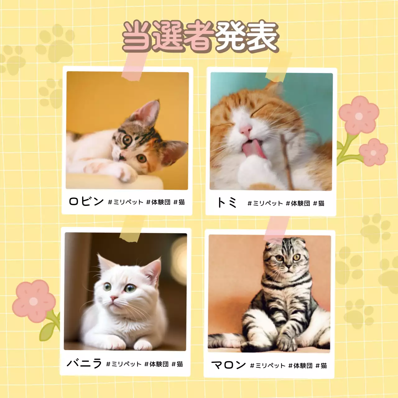 黄色 かわいい サポーター ポスター Instagram投稿