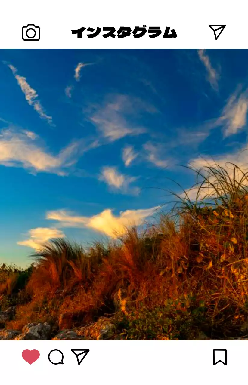 明るく温かみのあるカラー感のシンプルモダンなインスタグラムフォトフレームコンセプトのパーソナルグッズ用