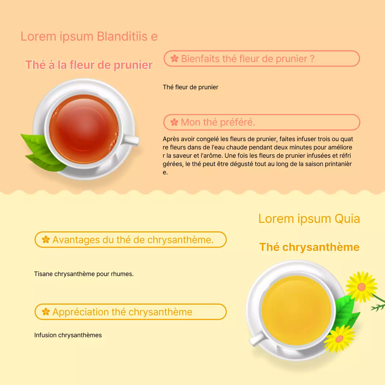Des illustrations fraîches et jaunes fournissent des informations sur les thés de fleurs printaniers.