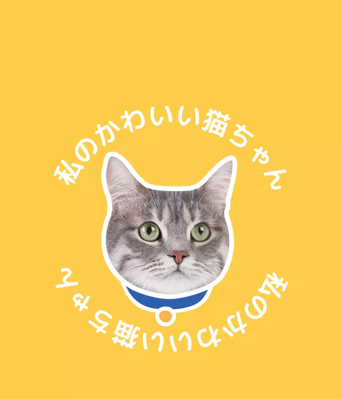 黄色い猫の写真 ペット