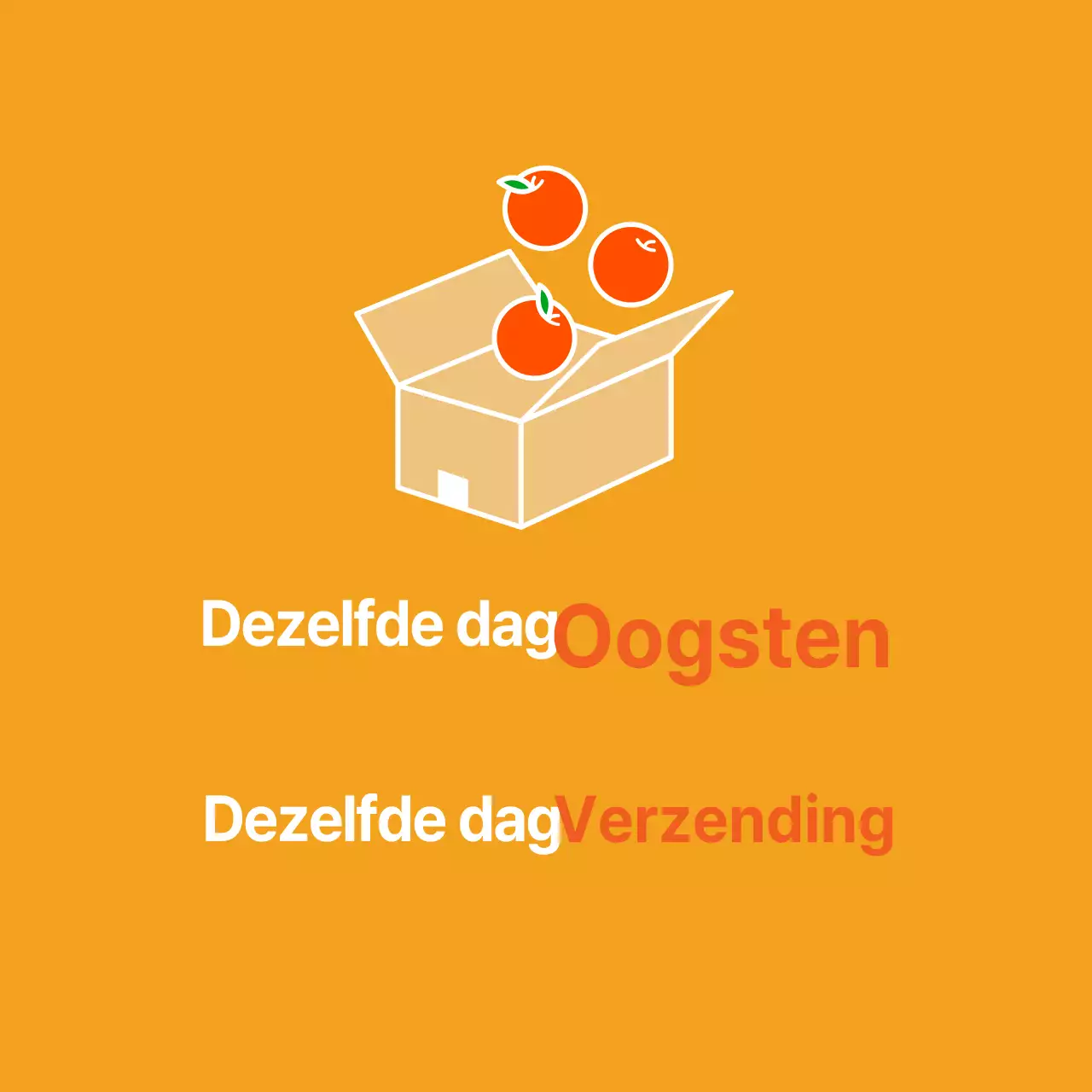 Produkten/Dagelijkse Oogst